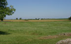 East Woods