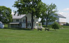 Mumma Farm