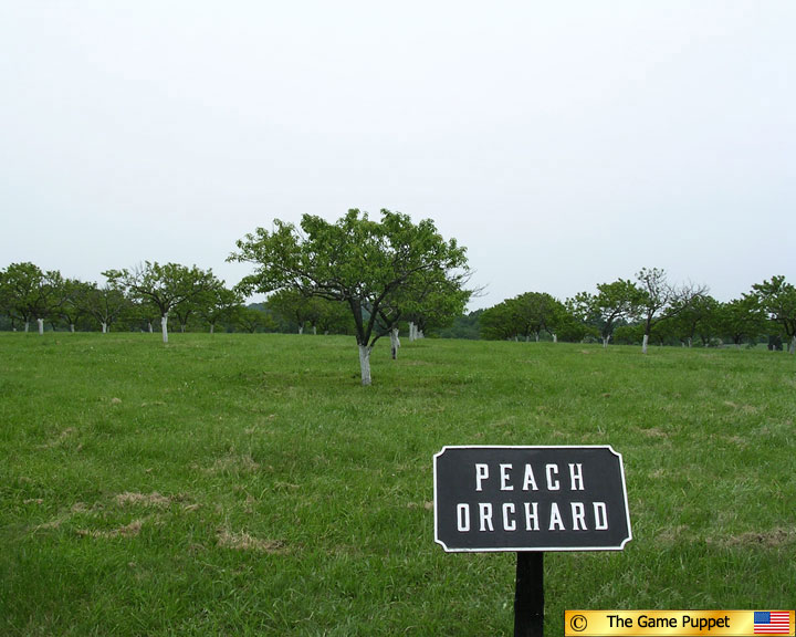 Peach Orchard graphic