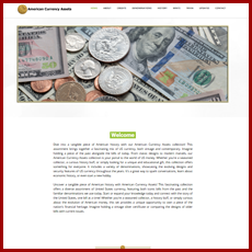 American Currency Assets pic